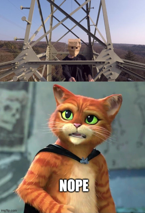 Gato meme | NOPE | image tagged in the last wish,gato,puss in boots,paper bag head,latticeclimbing,borntoclimbtowers | made w/ Imgflip meme maker