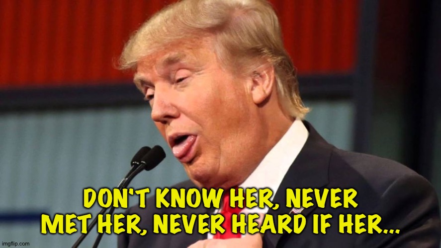 Stupid trump | DON'T KNOW HER, NEVER MET HER, NEVER HEARD IF HER... | image tagged in stupid trump | made w/ Imgflip meme maker