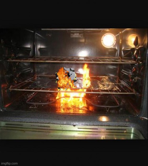 Oven fire 2 | image tagged in oven fire 2 | made w/ Imgflip meme maker