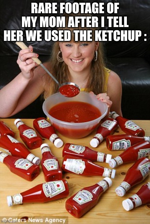 lol | RARE FOOTAGE OF MY MOM AFTER I TELL HER WE USED THE KETCHUP : | image tagged in ketchup | made w/ Imgflip meme maker