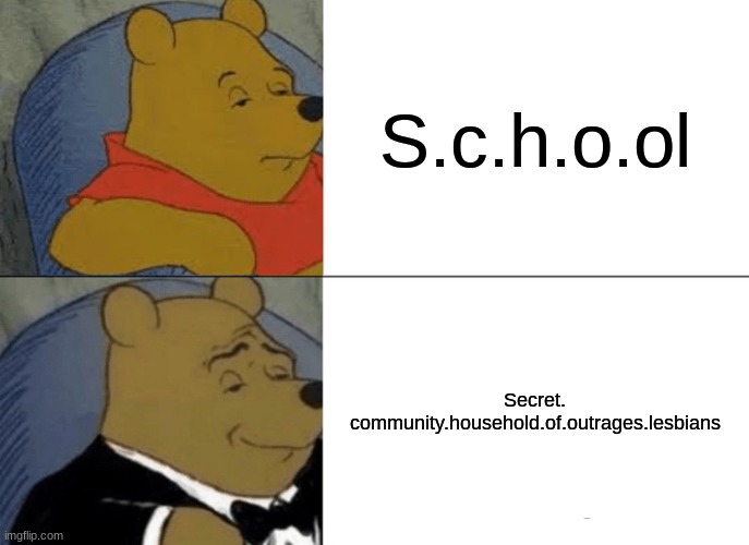 fr fr | S.c.h.o.ol; Secret. community.household.of.outrages.lesbians | image tagged in memes,tuxedo winnie the pooh | made w/ Imgflip meme maker