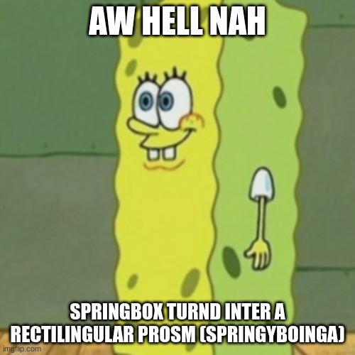 Fuck y'all im posting spunch bop memes | AW HELL NAH; SPRINGBOX TURND INTER A RECTILINGULAR PROSM (SPRINGYBOINGA) | image tagged in spungebop | made w/ Imgflip meme maker