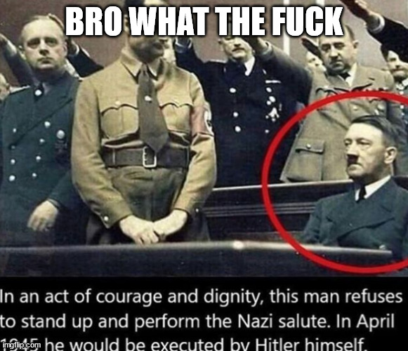 Anti nazi german | BRO WHAT THE FUCK | image tagged in anti nazi german | made w/ Imgflip meme maker