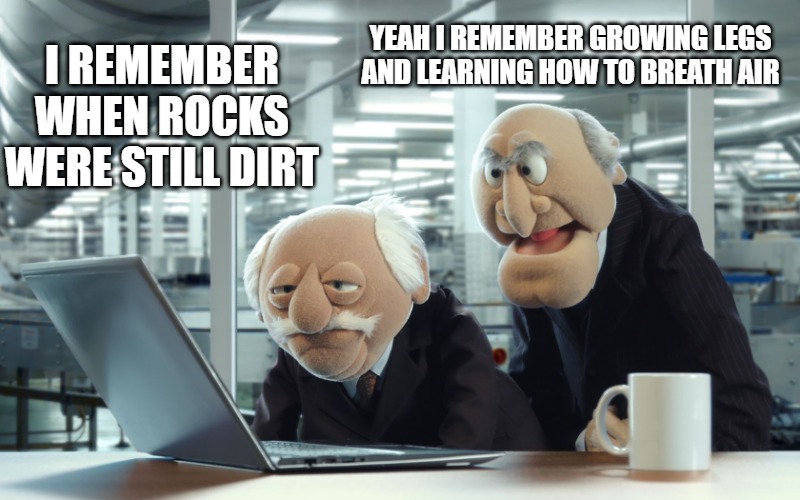 YEAH I REMEMBER GROWING LEGS AND LEARNING HOW TO BREATH AIR; I REMEMBER WHEN ROCKS WERE STILL DIRT | image tagged in muppets | made w/ Imgflip meme maker