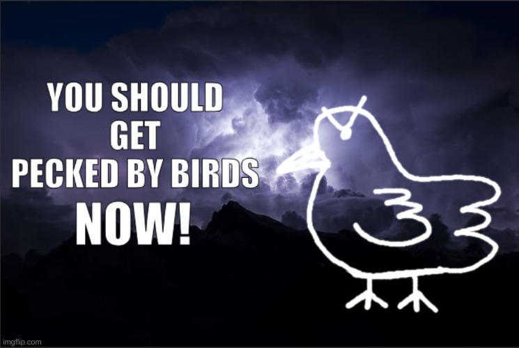 YOU SHOULD GET PECKED BY BIRDS, NOW! | image tagged in you should get pecked by birds now | made w/ Imgflip meme maker