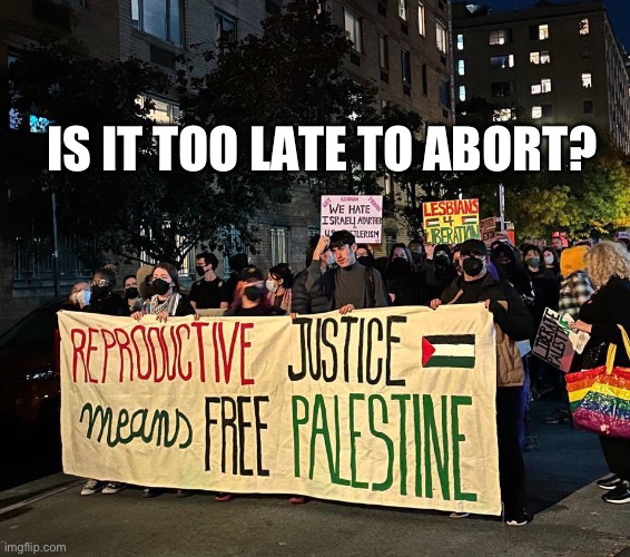 Reproductive rights and Palestine | IS IT TOO LATE TO ABORT? | image tagged in palestine,israel,abortion | made w/ Imgflip meme maker
