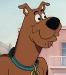 High Quality Scooby Doo Blank Meme Template