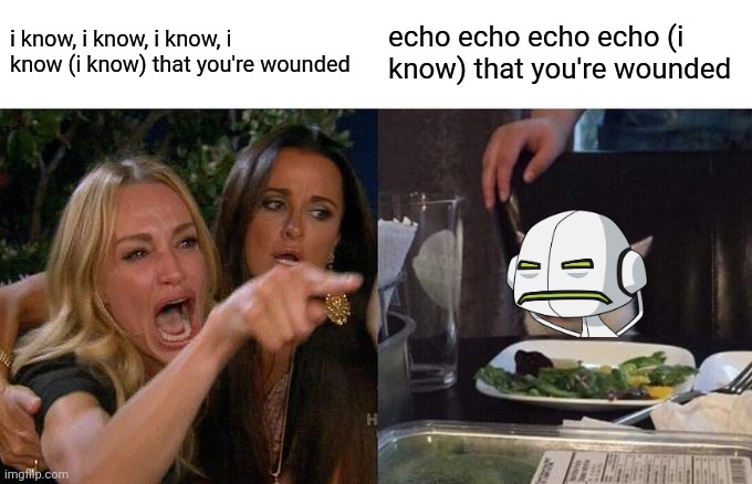 Woman Yelling At Cat Meme | i know, i know, i know, i know (i know) that you're wounded; echo echo echo echo (i know) that you're wounded | image tagged in woman yelling at cat,pain,three days grace,song,song lyrics,ben 10 | made w/ Imgflip meme maker
