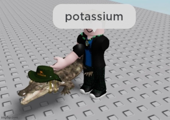 Crocodil potassium | image tagged in roblox | made w/ Imgflip meme maker