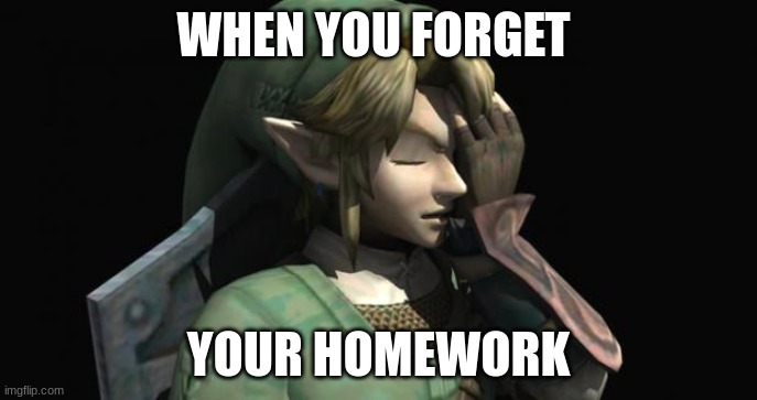 Link Facepalm | WHEN YOU FORGET; YOUR HOMEWORK | image tagged in link facepalm | made w/ Imgflip meme maker