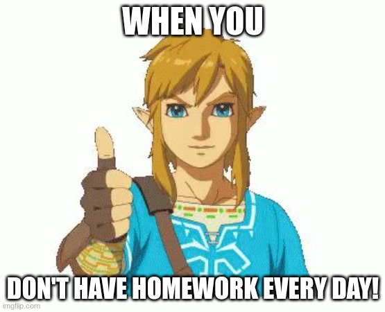 Link Thumbs Up | WHEN YOU; DON'T HAVE HOMEWORK EVERY DAY! | image tagged in link thumbs up | made w/ Imgflip meme maker