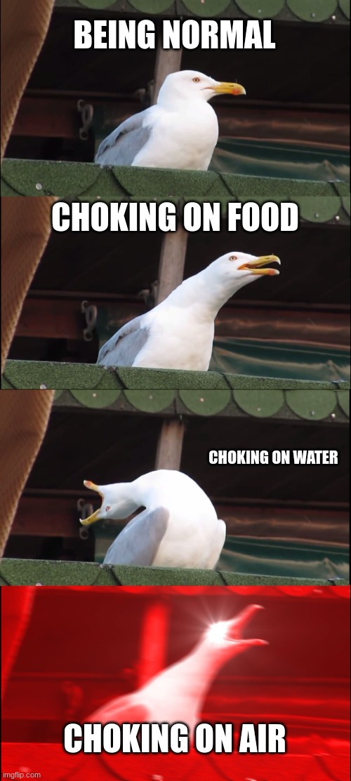 Inhaling Seagull Meme | BEING NORMAL; CHOKING ON FOOD; CHOKING ON WATER; CHOKING ON AIR | image tagged in memes,inhaling seagull | made w/ Imgflip meme maker