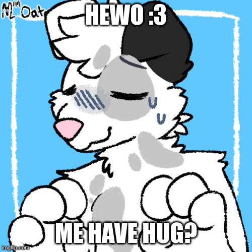 :3 My second fursona that i generated. Credit to Mlm Oat i think | HEWO :3; ME HAVE HUG? | image tagged in furry,cute,hug | made w/ Imgflip meme maker