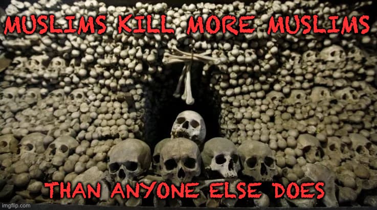 MUSLIMS KILL MORE MUSLIMS THAN ANYONE ELSE DOES | made w/ Imgflip meme maker