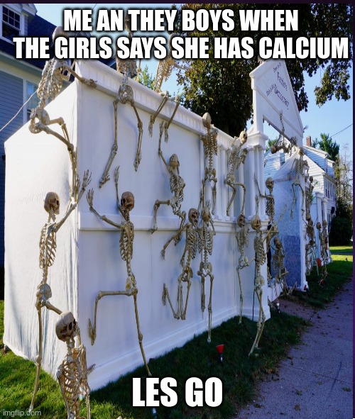 ME AN THEY BOYS WHEN THE GIRLS SAYS SHE HAS CALCIUM; LES GO | made w/ Imgflip meme maker