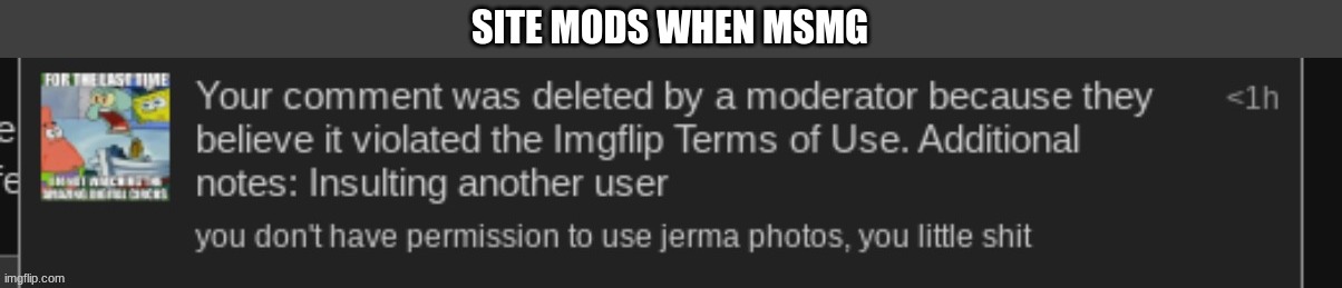 SITE MODS WHEN MSMG | made w/ Imgflip meme maker