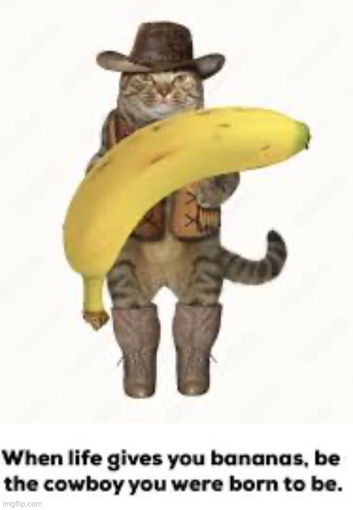 Pew pew | image tagged in cowboy,banana,cats,cat | made w/ Imgflip meme maker