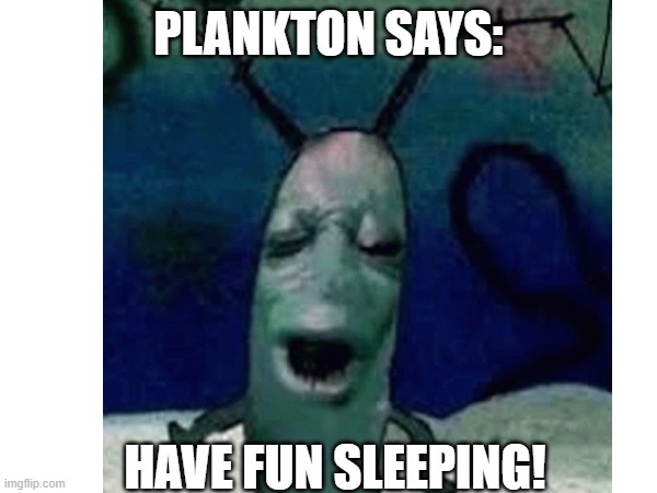 OwO | PLANKTON SAYS:; HAVE FUN SLEEPING! | image tagged in planking,mocking spongebob,sleep | made w/ Imgflip meme maker