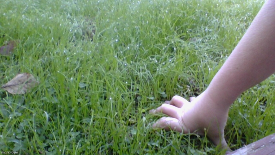 its 28F where I live. I went out in underwear and just touched grass | image tagged in touching grass | made w/ Imgflip meme maker