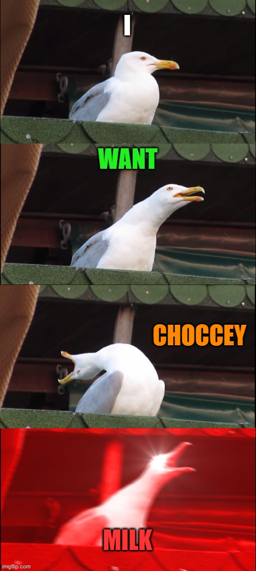 Inhaling Seagull | I; WANT; CHOCCEY; MILK | image tagged in memes,inhaling seagull | made w/ Imgflip meme maker