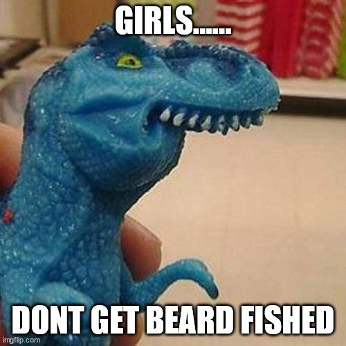F dinosaur | GIRLS...... DONT GET BEARD FISHED | image tagged in f dinosaur | made w/ Imgflip meme maker