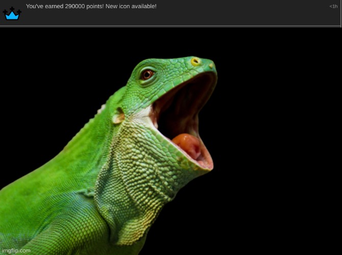 More updates on my mission to beat water you to 1m points | image tagged in fiji banded iguana yes | made w/ Imgflip meme maker