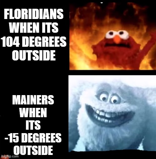 frfr | FLORIDIANS WHEN ITS 104 DEGREES OUTSIDE; MAINERS WHEN ITS -15 DEGREES OUTSIDE | image tagged in hot and cold | made w/ Imgflip meme maker