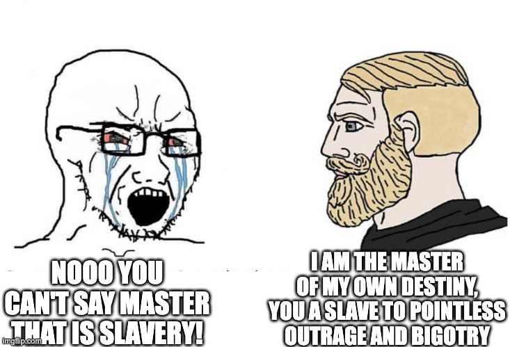 I was arguing with some troll on Reddit about this | I AM THE MASTER OF MY OWN DESTINY, YOU A SLAVE TO POINTLESS OUTRAGE AND BIGOTRY; NOOO YOU CAN'T SAY MASTER THAT IS SLAVERY! | image tagged in soyboy vs yes chad,slave,master | made w/ Imgflip meme maker