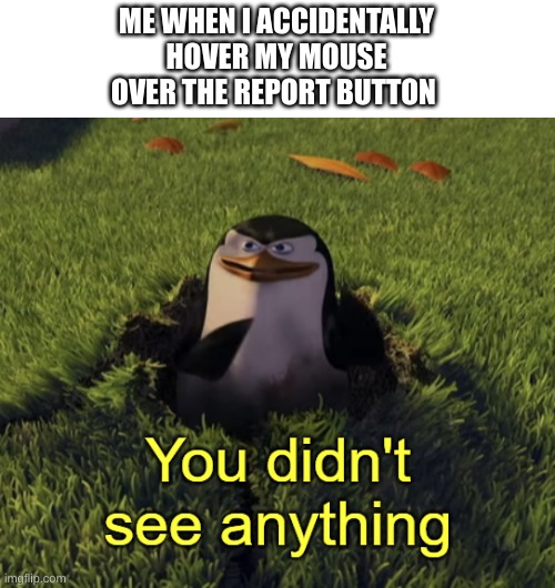 You didn't see anything | ME WHEN I ACCIDENTALLY
HOVER MY MOUSE
OVER THE REPORT BUTTON | image tagged in you didn't see anything | made w/ Imgflip meme maker