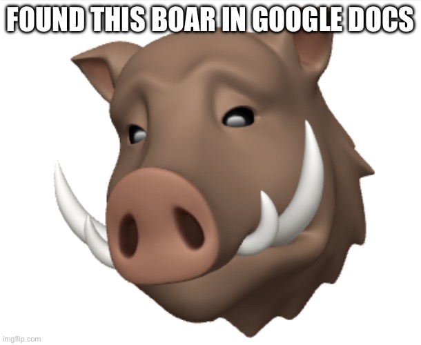 Boar | FOUND THIS BOAR IN GOOGLE DOCS | image tagged in boar,funny | made w/ Imgflip meme maker