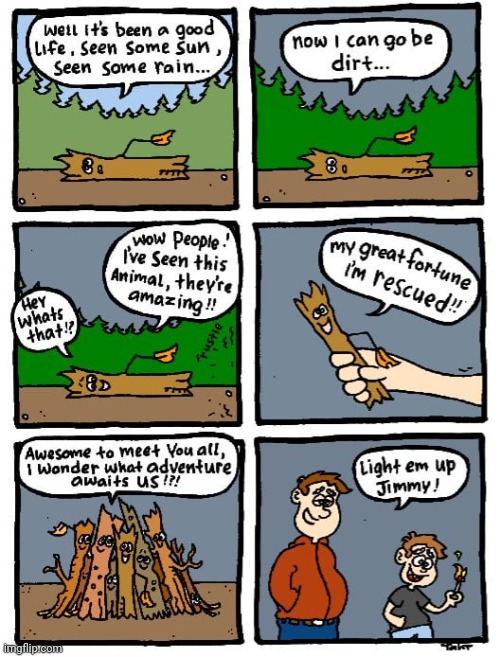 Lighting up the wood | image tagged in lighter,fire,woods,wood,comics,comics/cartoons | made w/ Imgflip meme maker