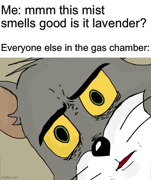 Me: mmm this mist smells good is it lavender? Everyone else in the gas chamber: | image tagged in blank white template,memes,unsettled tom | made w/ Imgflip meme maker