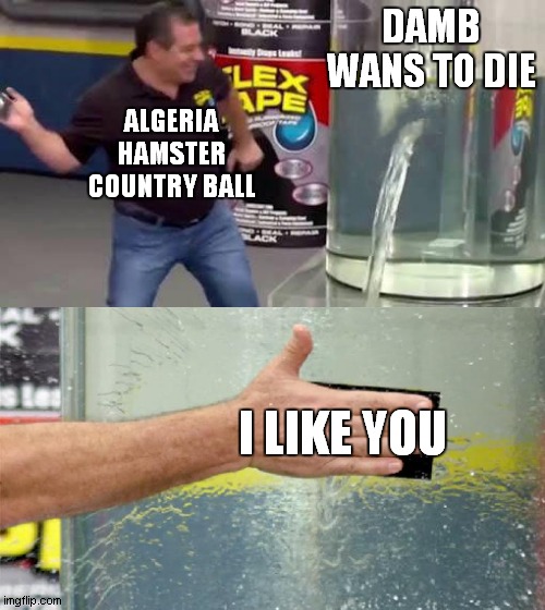 i like vidio damb wans to die | DAMB WANS TO DIE; ALGERIA HAMSTER COUNTRY BALL; I LIKE YOU | image tagged in i like your funny words magic man | made w/ Imgflip meme maker