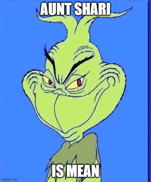 Good Grinch | AUNT SHARI; IS MEAN | image tagged in good grinch | made w/ Imgflip meme maker