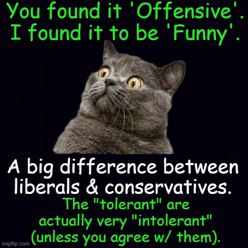 I Would Rather Be Correct Than "Politically Correct".  vB | You found it 'Offensive'.
I found it to be 'Funny'. A big difference between 
liberals & conservatives. The "tolerant" are 
actually very "intolerant" 
(unless you agree w/ them). | image tagged in politics,liberals vs conservatives,pc,offended,liberal hypocrisy,intolerance | made w/ Imgflip meme maker
