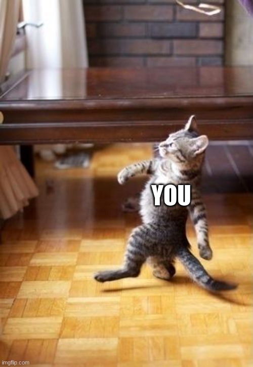 Cool Cat Stroll Meme | YOU | image tagged in memes,cool cat stroll | made w/ Imgflip meme maker