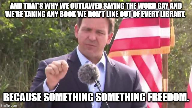 Florida Governor Ron DeSantis | AND THAT'S WHY WE OUTLAWED SAYING THE WORD GAY AND WE'RE TAKING ANY BOOK WE DON'T LIKE OUT OF EVERY LIBRARY. BECAUSE SOMETHING SOMETHING FRE | image tagged in florida governor ron desantis | made w/ Imgflip meme maker