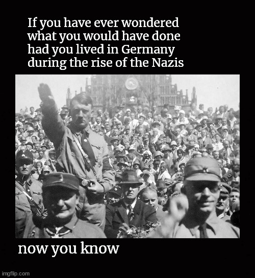 the rise of the Nazis | If you have ever wondered 
what you would have done 
had you lived in Germany 
during the rise of the Nazis; now you know | image tagged in nazis,propaganda,isreal,hamas | made w/ Imgflip meme maker