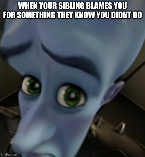 Megamind no bitches | WHEN YOUR SIBLING BLAMES YOU FOR SOMETHING THEY KNOW YOU DIDNT DO | image tagged in megamind no bitches,change my mind | made w/ Imgflip meme maker