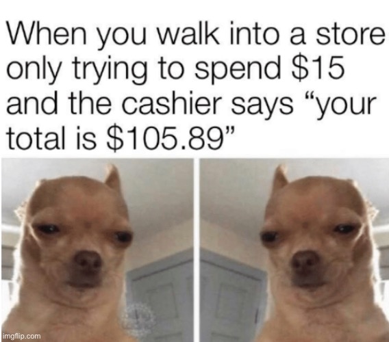 tip: don’t go grocery shopping when you’re hungry | image tagged in funny,meme,bought too much,shopping,total | made w/ Imgflip meme maker