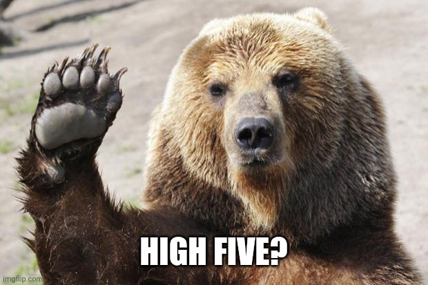 High Five Bear | HIGH FIVE? | image tagged in high five bear | made w/ Imgflip meme maker