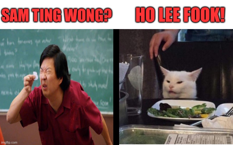 salad cat | SAM TING WONG? HO LEE FOOK! | image tagged in salad cat,angry lady cat,fat asian kid,republicans,funny memes,donald trump | made w/ Imgflip meme maker