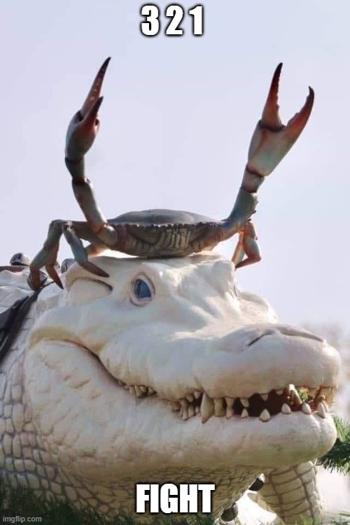 Crab on Crocodile | 3 2 1; FIGHT | image tagged in crab on crocodile | made w/ Imgflip meme maker