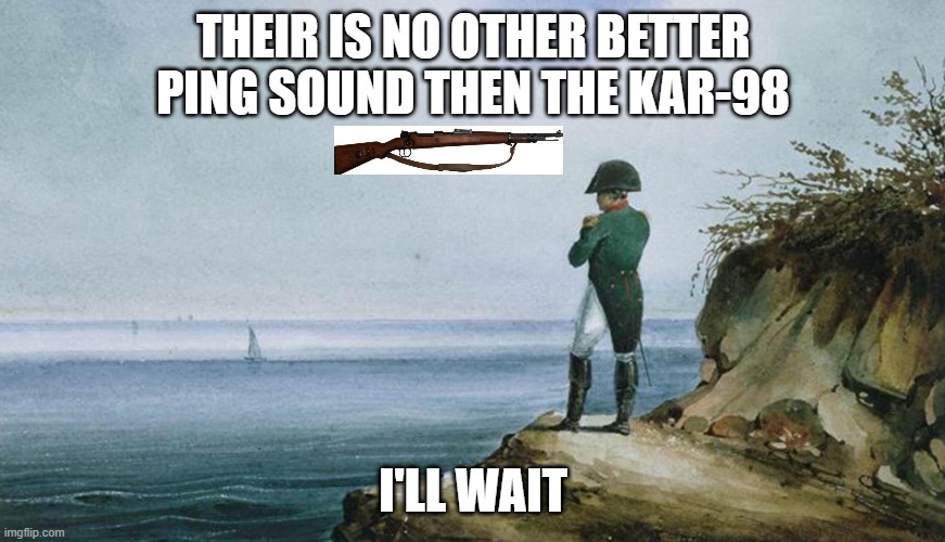 kar 98 | THEIR IS NO OTHER BETTER PING SOUND THEN THE KAR-98; I'LL WAIT | image tagged in napoleon theres nothing we can do | made w/ Imgflip meme maker
