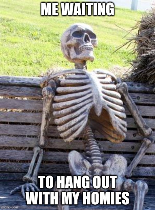 Having no drivers licensce really sucks | ME WAITING; TO HANG OUT WITH MY HOMIES | image tagged in memes,waiting skeleton | made w/ Imgflip meme maker