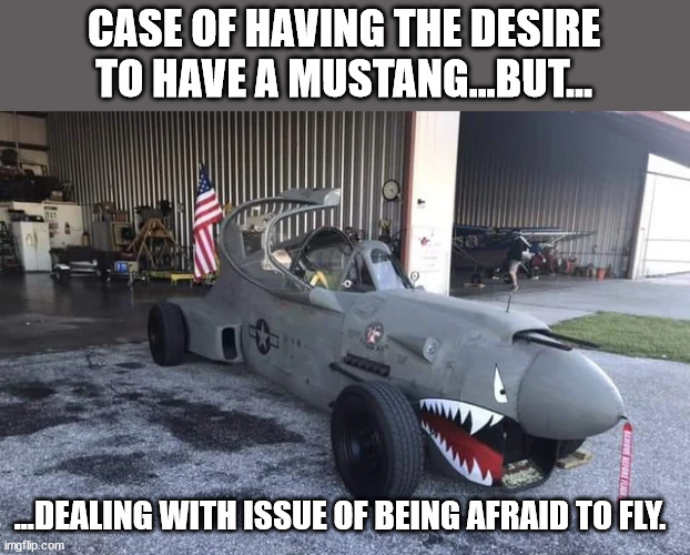 Conflicting desires and fixes | CASE OF HAVING THE DESIRE TO HAVE A MUSTANG...BUT... ...DEALING WITH ISSUE OF BEING AFRAID TO FLY. | image tagged in car memes | made w/ Imgflip meme maker