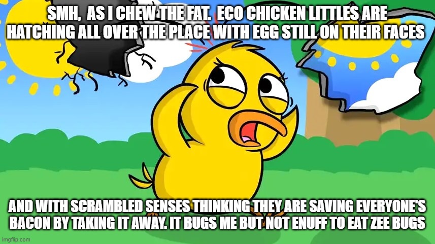 SMH,  AS I CHEW THE FAT.  ECO CHICKEN LITTLES ARE HATCHING ALL OVER THE PLACE WITH EGG STILL ON THEIR FACES; AND WITH SCRAMBLED SENSES THINKING THEY ARE SAVING EVERYONE'S BACON BY TAKING IT AWAY. IT BUGS ME BUT NOT ENUFF TO EAT ZEE BUGS | made w/ Imgflip meme maker