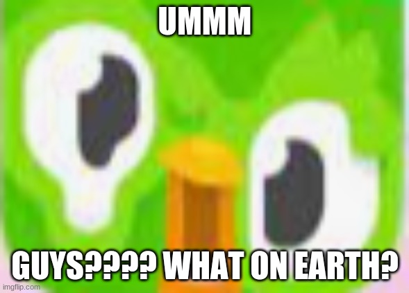 BRUH WAT | UMMM; GUYS???? WHAT ON EARTH? | image tagged in rip duo | made w/ Imgflip meme maker