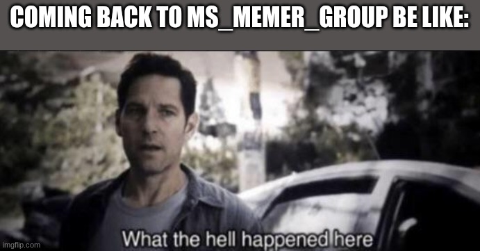 What the hell happened here | COMING BACK TO MS_MEMER_GROUP BE LIKE: | image tagged in what the hell happened here | made w/ Imgflip meme maker