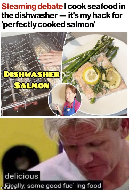 image tagged in gordon ramsay some good food,dishwasher,salmon,cooking cycle,memes | made w/ Imgflip meme maker